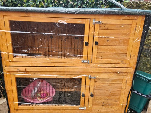 Rabbit hutch with - rabbit,
