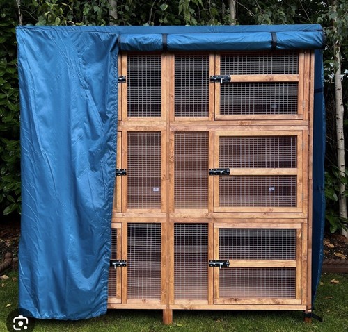 Rabbit guinea pig - rabbit, hutch