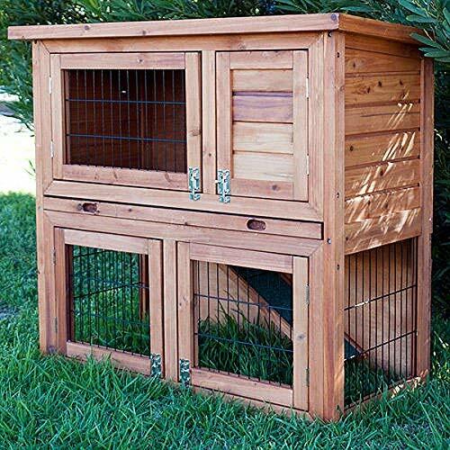 Bunny business tier double - 2-tier,