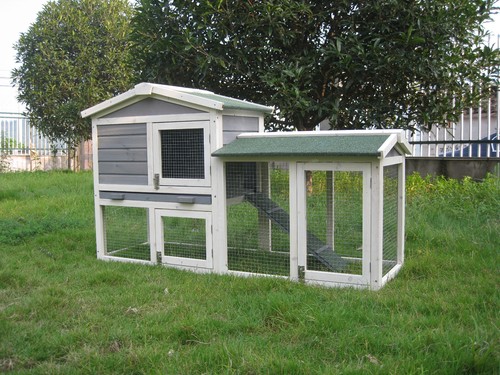 Rabbit guinea pig hutch - pig,