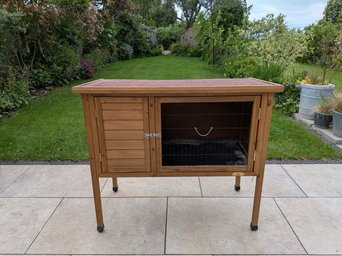 Outdoor raised guinea pig - outdoor, /