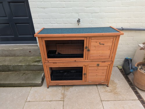 Two tier wooden guinea pig - ,