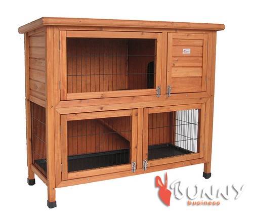 Rabbit hutch guinea pig - rabbit,