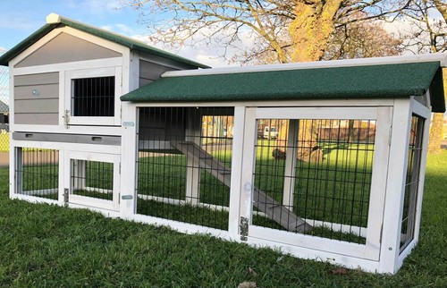 Large rabbit hutch guinea - large,