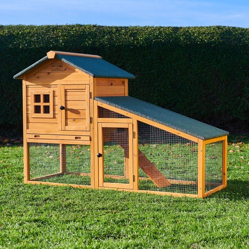 Rabbit hutch guinea pig - rabbit,