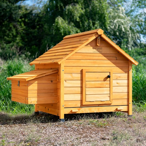 Chicken coop run hen - chicken, house