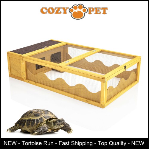 Tortoise run cozy pet - run,