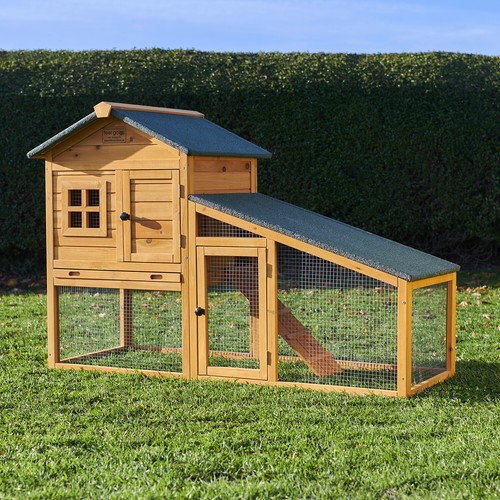 Rabbit guinea pig hutch - guinea,