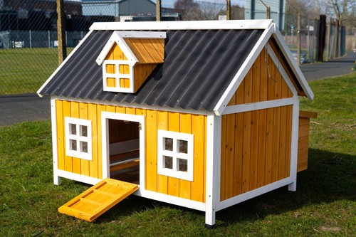 Large chicken coop hen house - chicken,