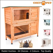 Rabbit Hutch Guinea Pig