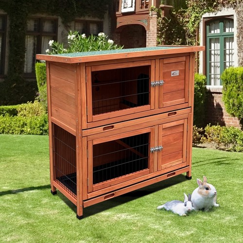 Rabbit guinea pig - /,