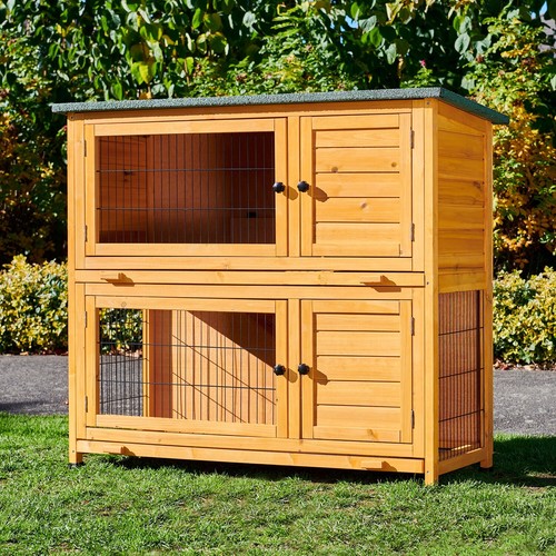 Rabbit hutch guinea - rabbit,