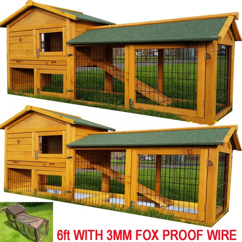 Rabbit hutch guinea - hutch, pig